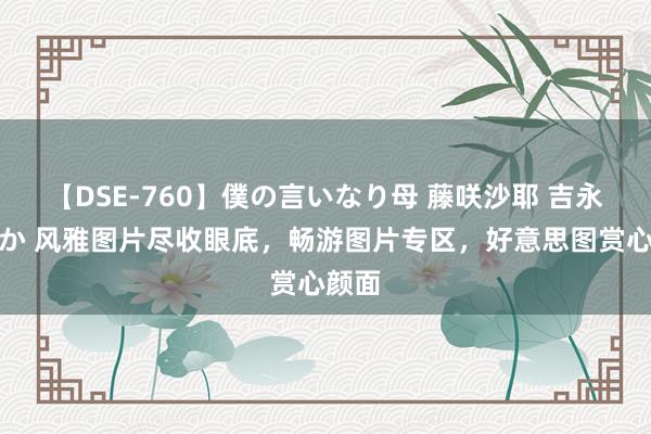 【DSE-760】僕の言いなり母 藤咲沙耶 吉永はるか 风雅图片尽收眼底，畅游图片专区，好意思图赏心颜面