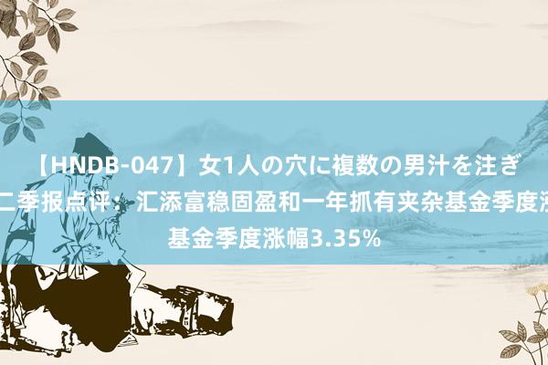 【HNDB-047】女1人の穴に複数の男汁を注ぎ込む！！ 二季报点评：汇添富稳固盈和一年抓有夹杂基金季度涨幅3.35%