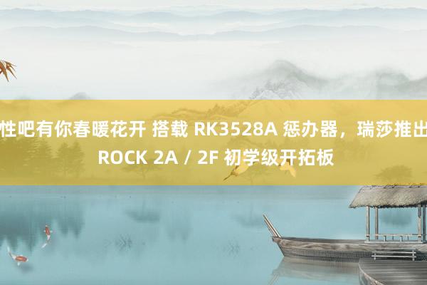 性吧有你春暖花开 搭载 RK3528A 惩办器，瑞莎推出 ROCK 2A / 2F 初学级开拓板