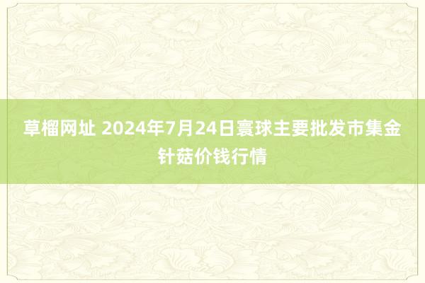 草榴网址 2024年7月24日寰球主要批发市集金针菇价钱行情