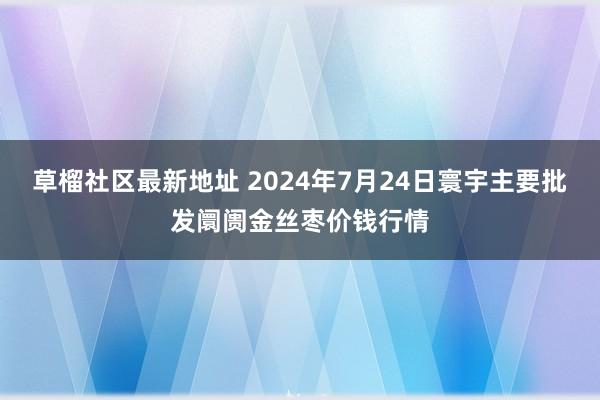 草榴社区最新地址 2024年7月24日寰宇主要批发阛阓金丝枣价钱行情