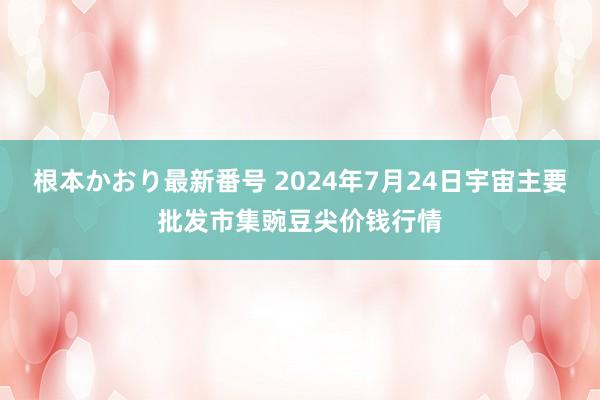 根本かおり最新番号 2024年7月24日宇宙主要批发市集豌豆尖价钱行情