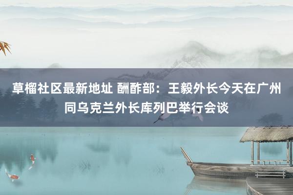 草榴社区最新地址 酬酢部：王毅外长今天在广州同乌克兰外长库列巴举行会谈