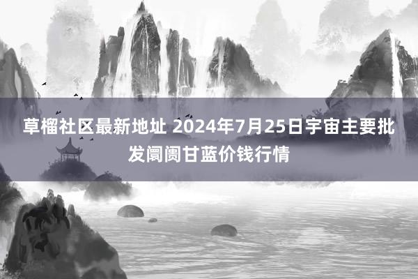 草榴社区最新地址 2024年7月25日宇宙主要批发阛阓甘蓝价钱行情