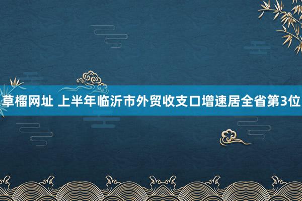 草榴网址 上半年临沂市外贸收支口增速居全省第3位