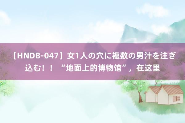 【HNDB-047】女1人の穴に複数の男汁を注ぎ込む！！ “地面上的博物馆”，在这里