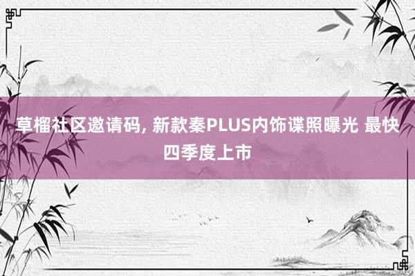 草榴社区邀请码, 新款秦PLUS内饰谍照曝光 最快四季度上市