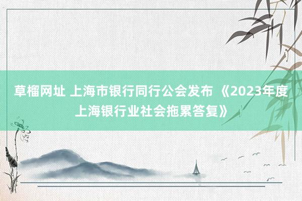 草榴网址 上海市银行同行公会发布 《2023年度上海银行业社会拖累答复》