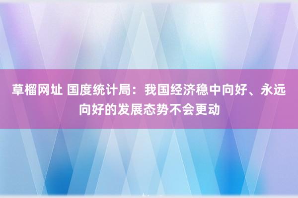 草榴网址 国度统计局：我国经济稳中向好、永远向好的发展态势不会更动