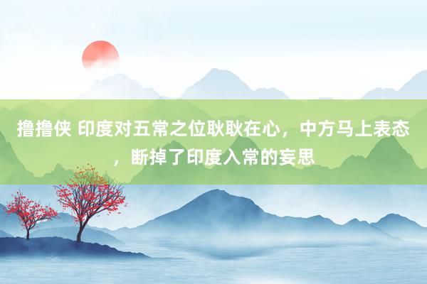 撸撸侠 印度对五常之位耿耿在心，中方马上表态，断掉了印度入常的妄思