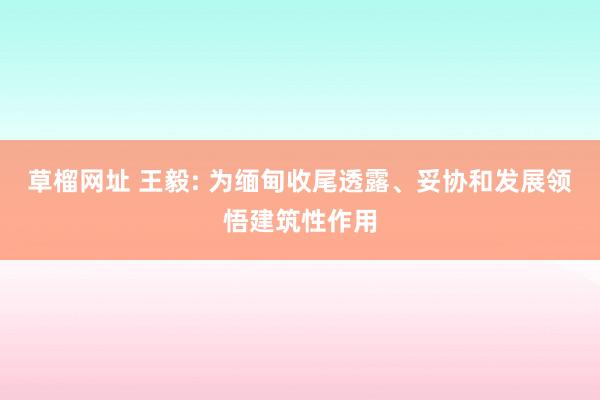 草榴网址 王毅: 为缅甸收尾透露、妥协和发展领悟建筑性作用