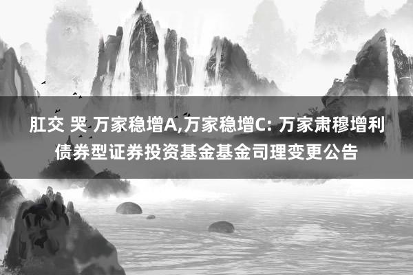 肛交 哭 万家稳增A,万家稳增C: 万家肃穆增利债券型证券投资基金基金司理变更公告