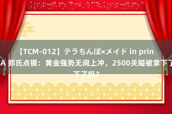 【TCM-012】テラちんぽ×メイド in prin MIKA 郑氏点银：黄金强势无间上冲，2500关隘被拿下了吗？