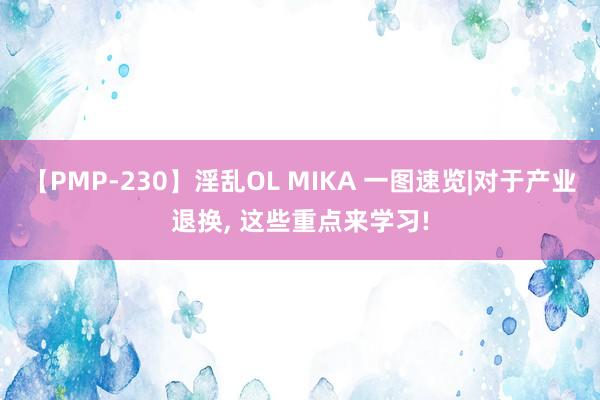 【PMP-230】淫乱OL MIKA 一图速览|对于产业退换, 这些重点来学习!