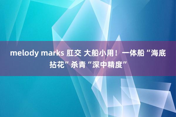 melody marks 肛交 大船小用！一体船“海底拈花”杀青“深中精度”