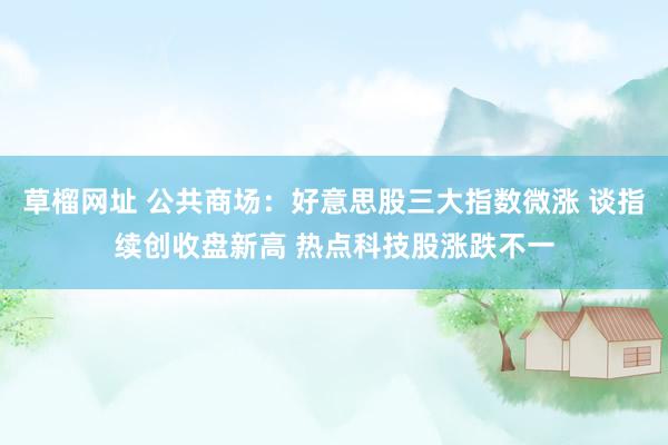 草榴网址 公共商场：好意思股三大指数微涨 谈指续创收盘新高 热点科技股涨跌不一