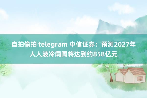 自拍偷拍 telegram 中信证券：预测2027年人人液冷阛阓将达到约858亿元