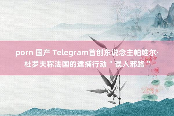 porn 国产 Telegram首创东说念主帕维尔·杜罗夫称法国的逮捕行动＂误入邪路＂