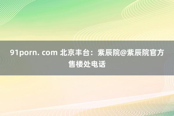 91porn. com 北京丰台：紫辰院@紫辰院官方售楼处电话